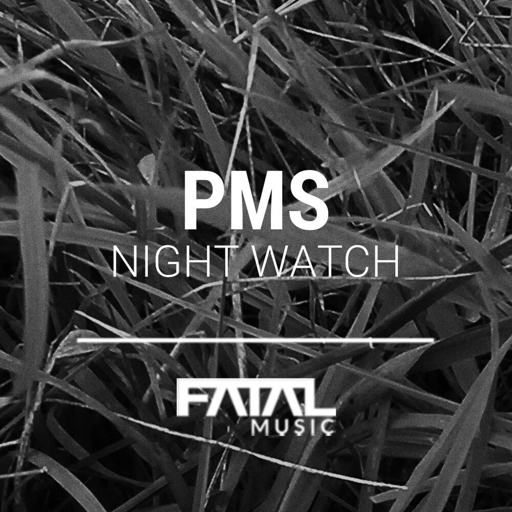 Picture of Night Watch