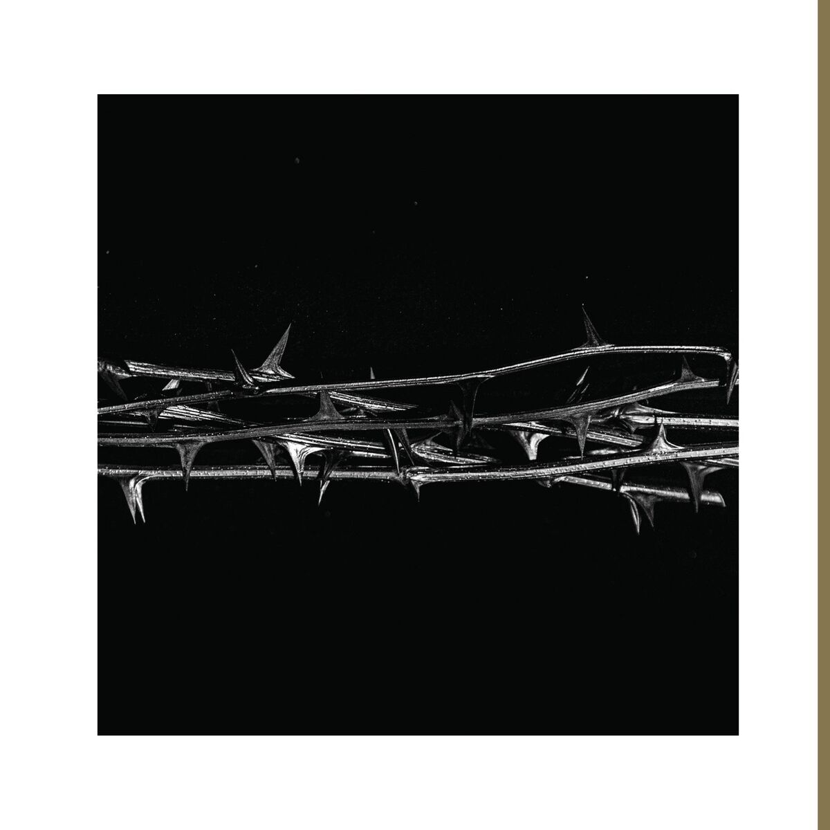 Album cover of De Doorn