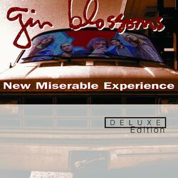 Cover of New Miserable Experience