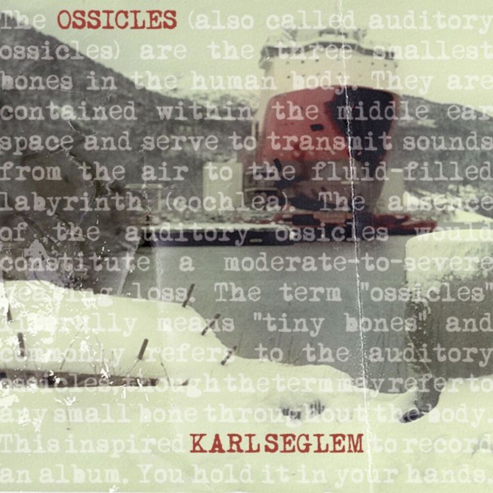 Picture of Ossicles