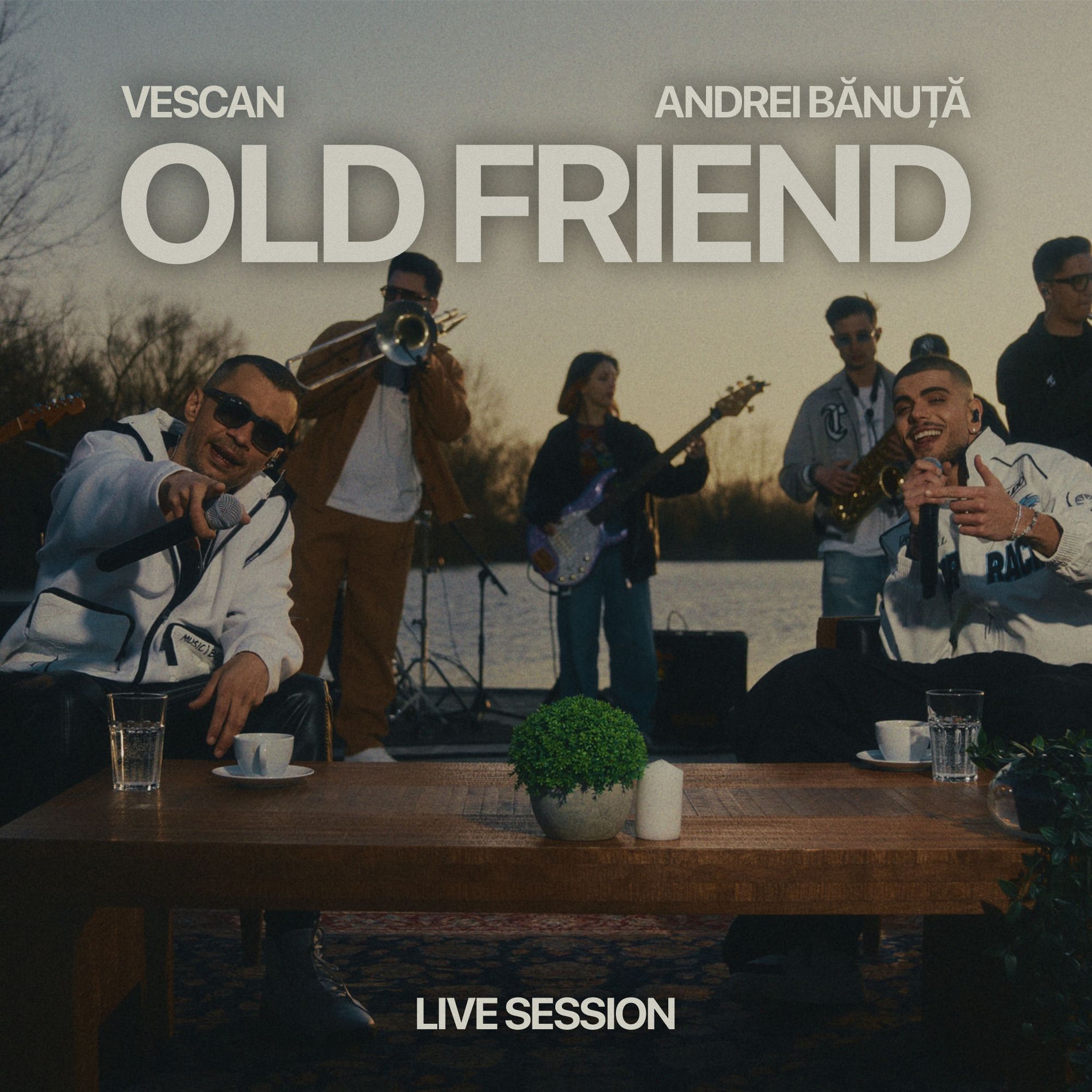 Album cover of Old Friend (Live Session)
