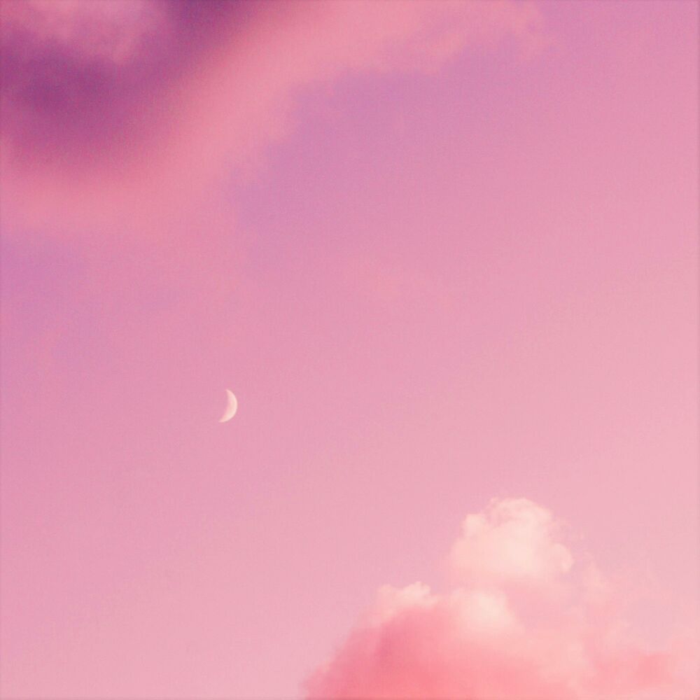 Picture of Moonlight
