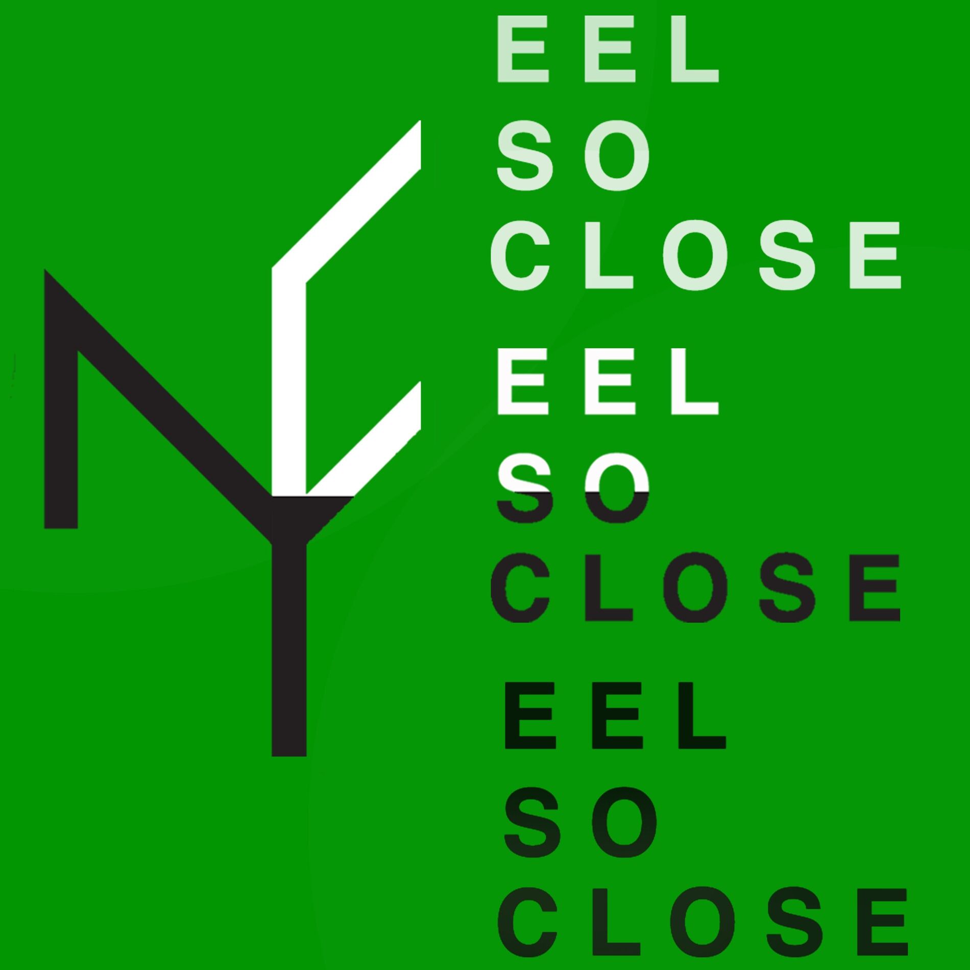 Album cover of Feel so Close