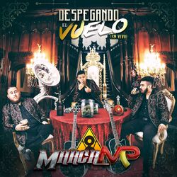 Cover of Despegando el Vuelo (En Vivo)