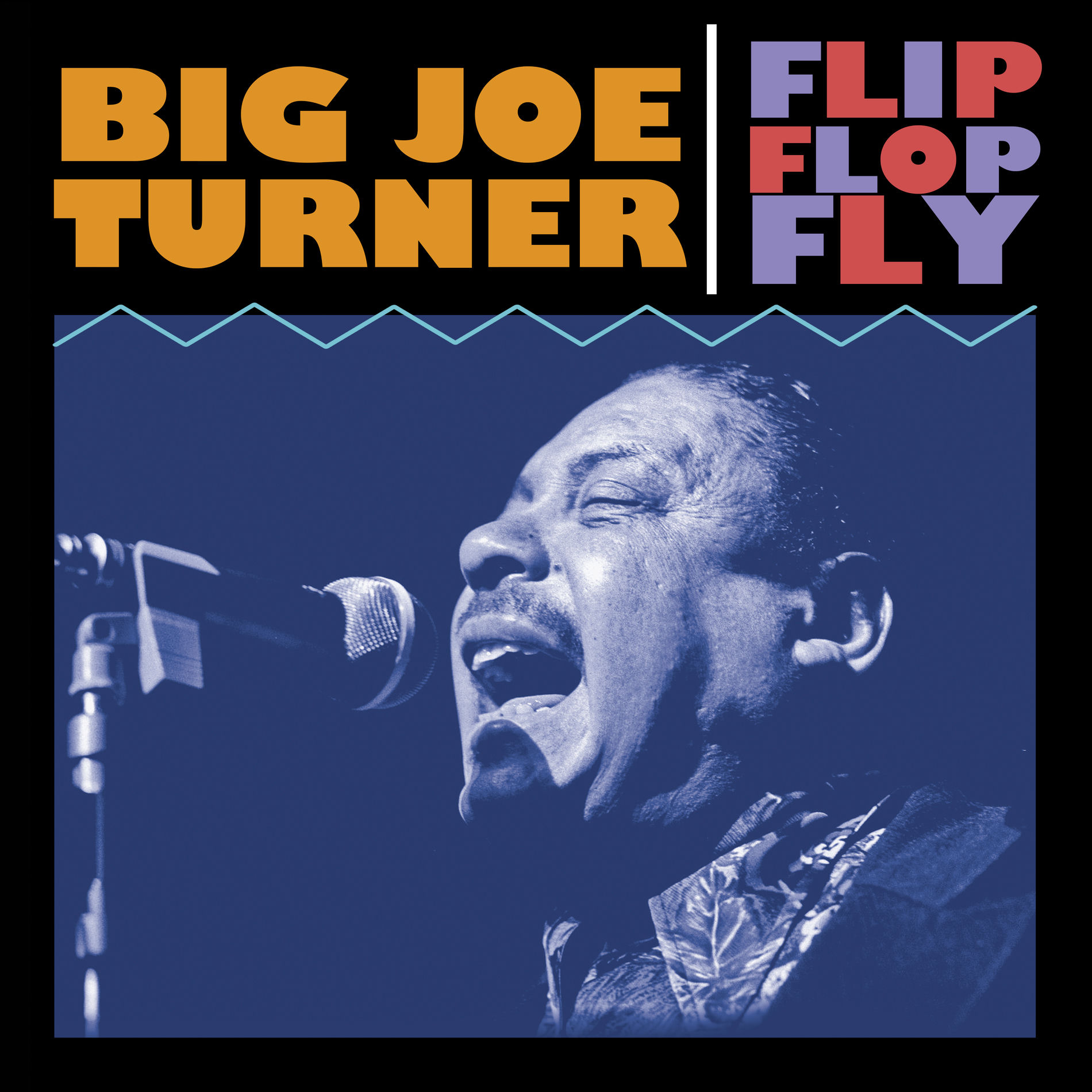 Album cover of Flip Flop Fly