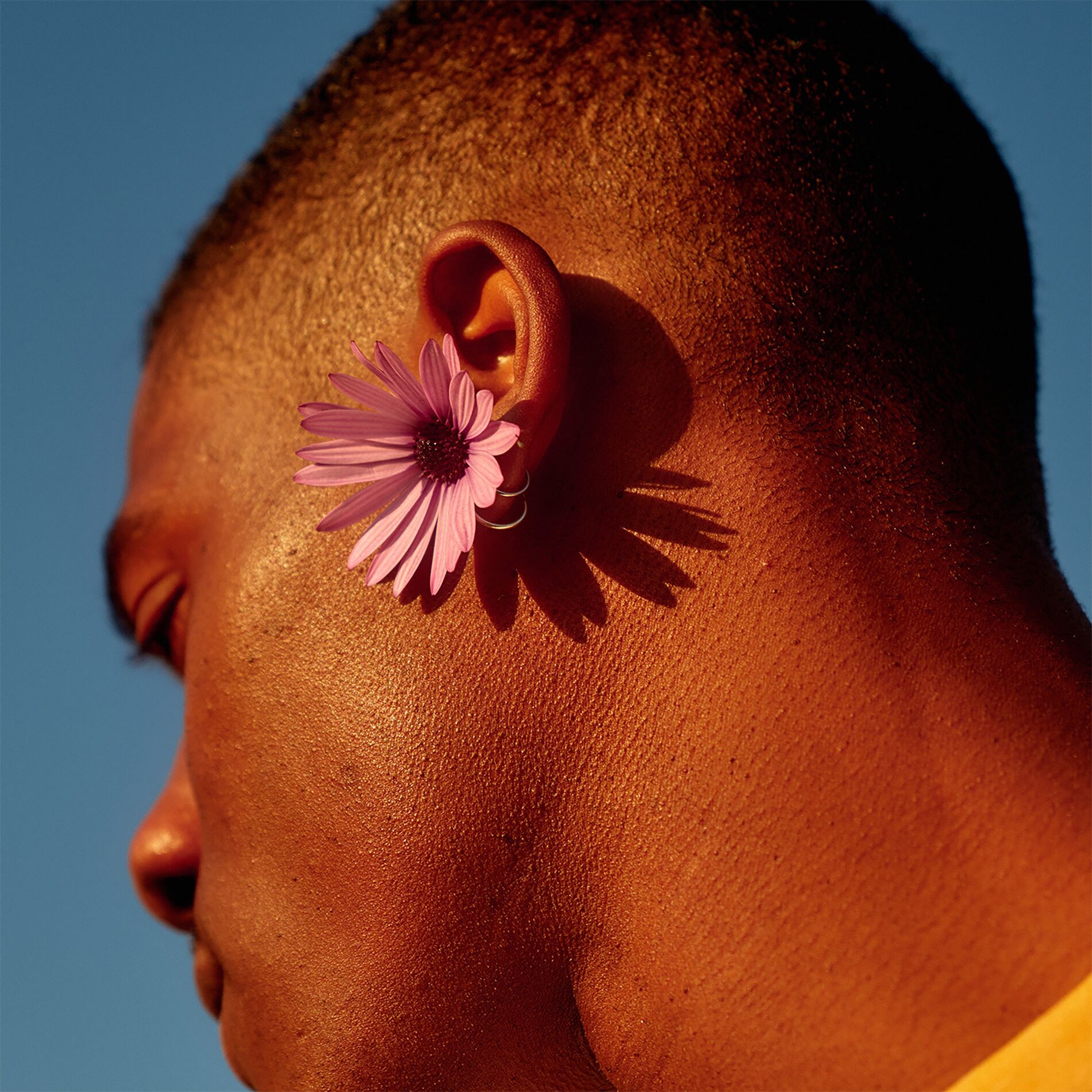 Album cover of Provide