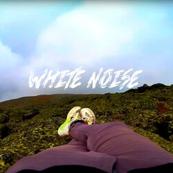 Cover of White Noise