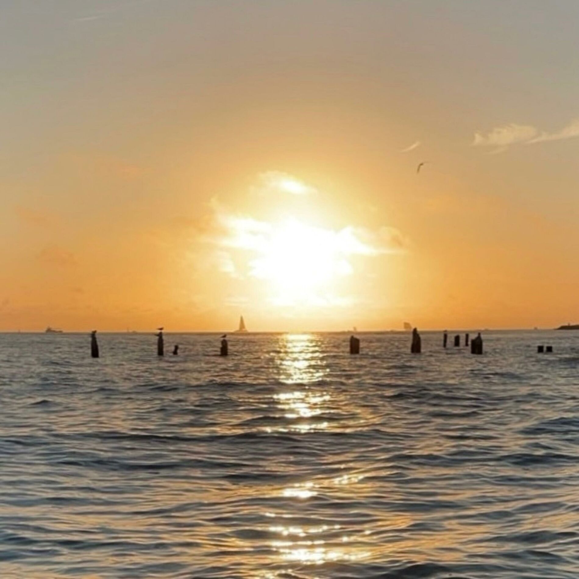 Album cover of sunrise in LA, Pt. 1