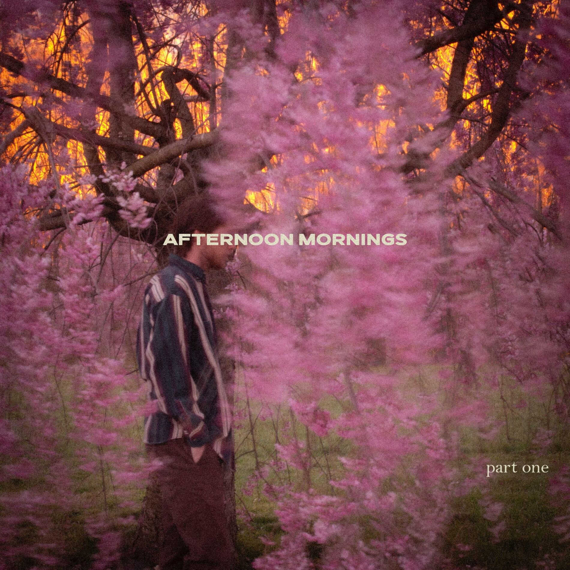 Album cover of Afternoon Mornings (pt. 1)