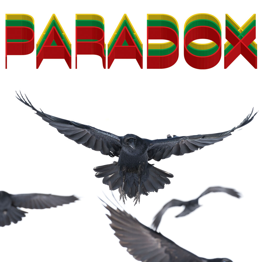 Picture of Paradox