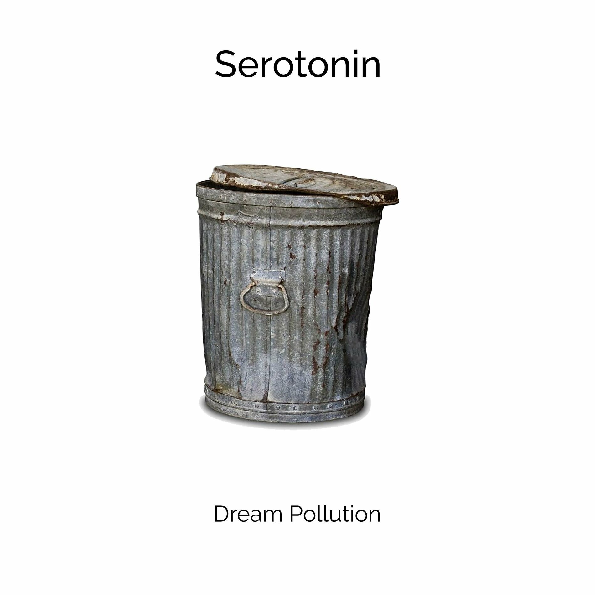 Album cover of Dream Pollution