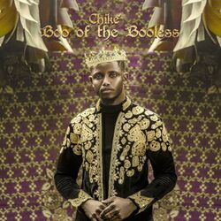 Cover of Boo of the Booless