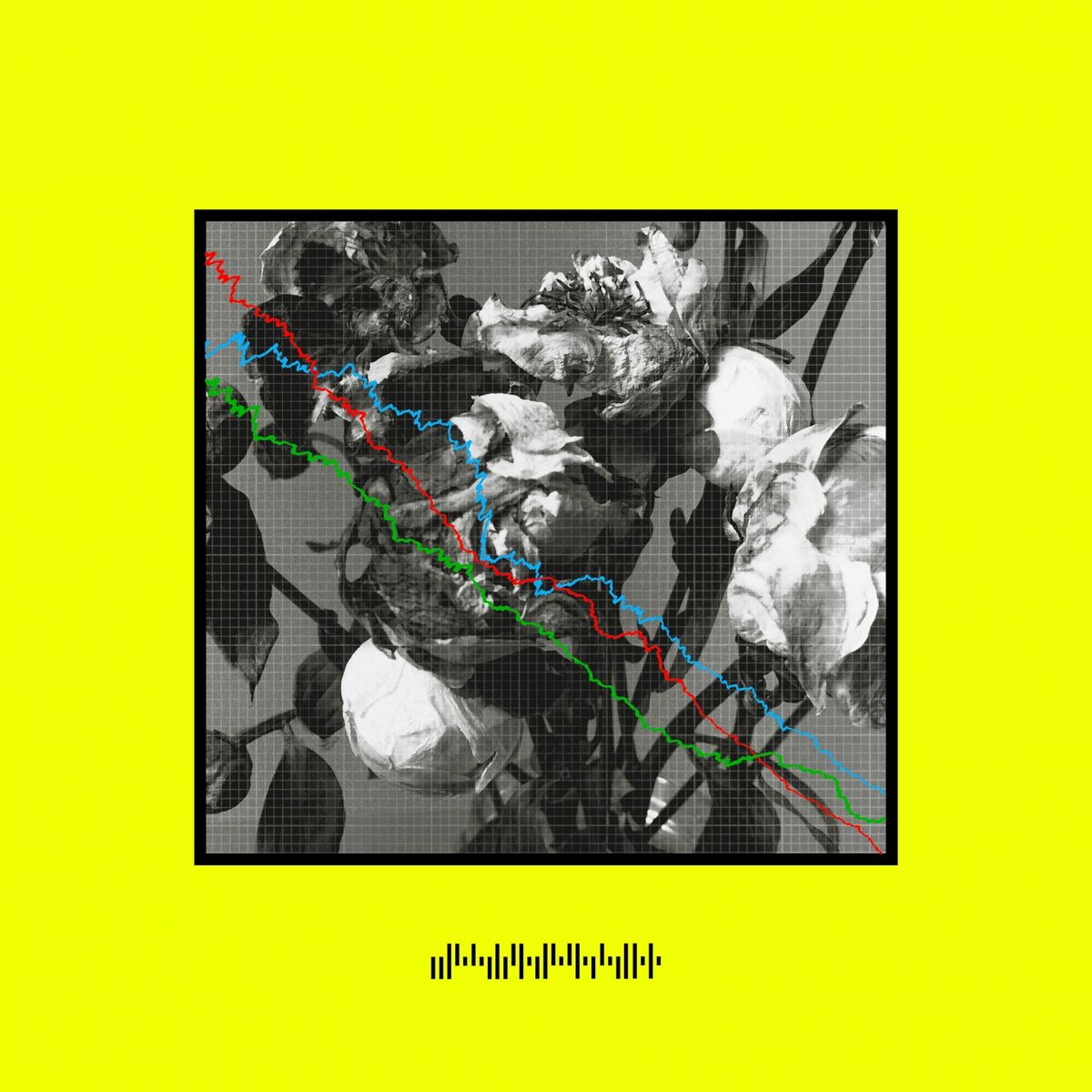 Album cover of Walking Wires