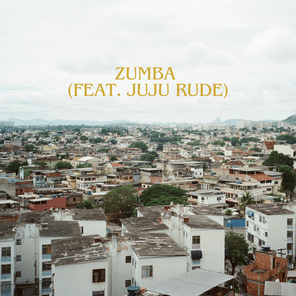 Zumba artwork