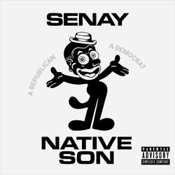 Cover of Native Son