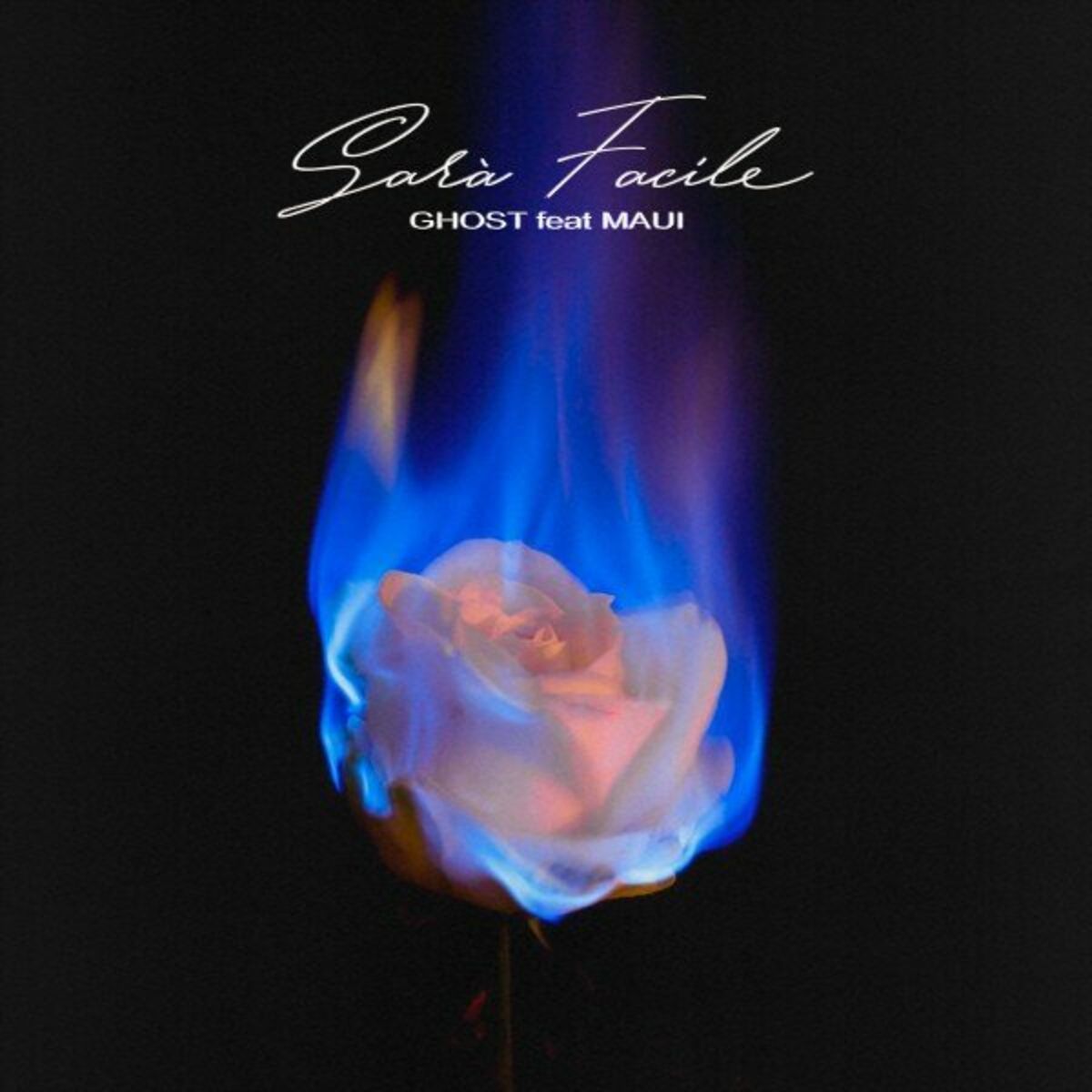 Album cover of Sarà facile