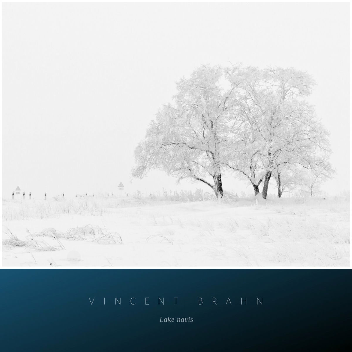 Album cover of Lake Navis