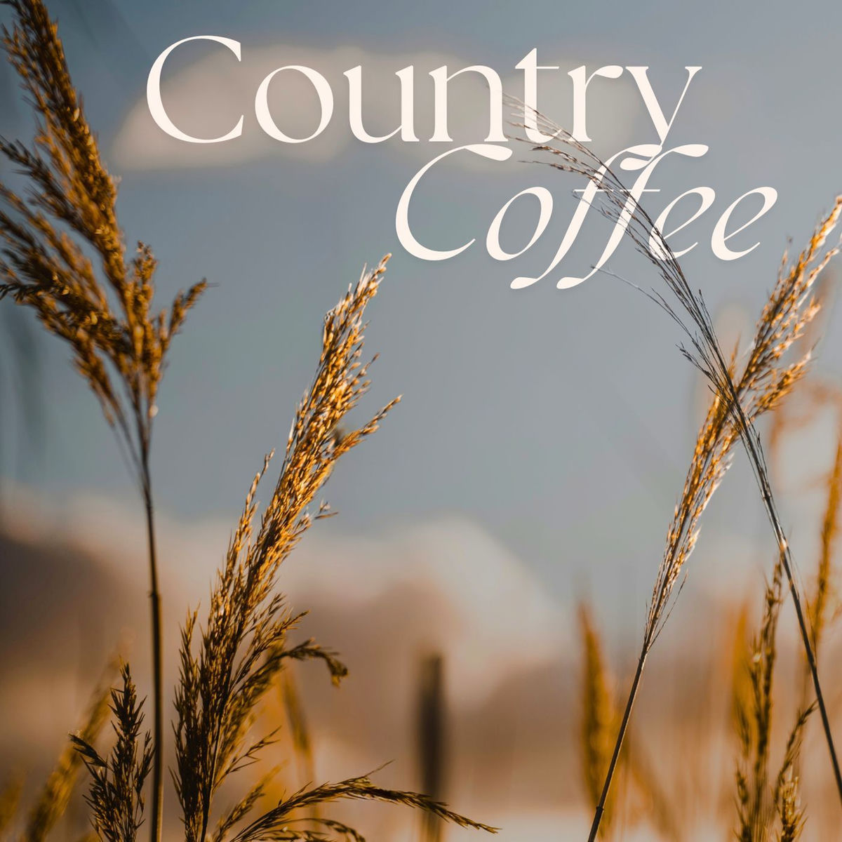 Album cover of Country Coffee