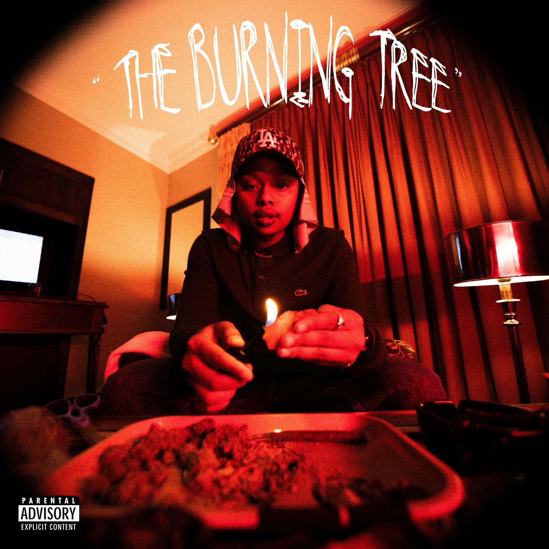 Album cover of The Burning Tree
