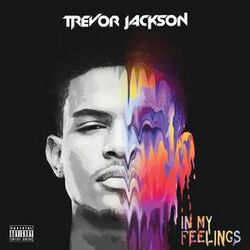 Cover of In My Feelings