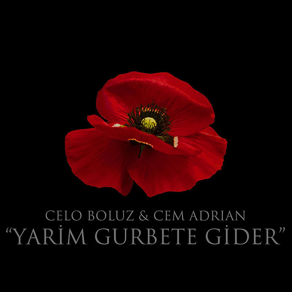 Album cover of Yarim Gurbete Gider