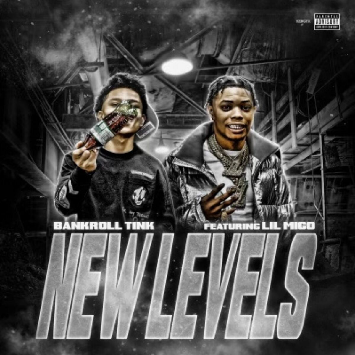 Album cover of New Levels