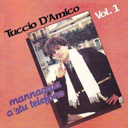 Cover of Mannaggia a 'stu telefono
