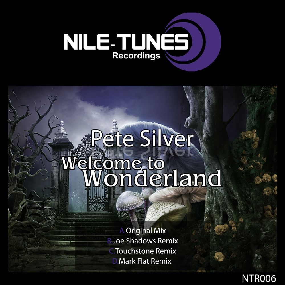 Picture of Welcome To Wonderland