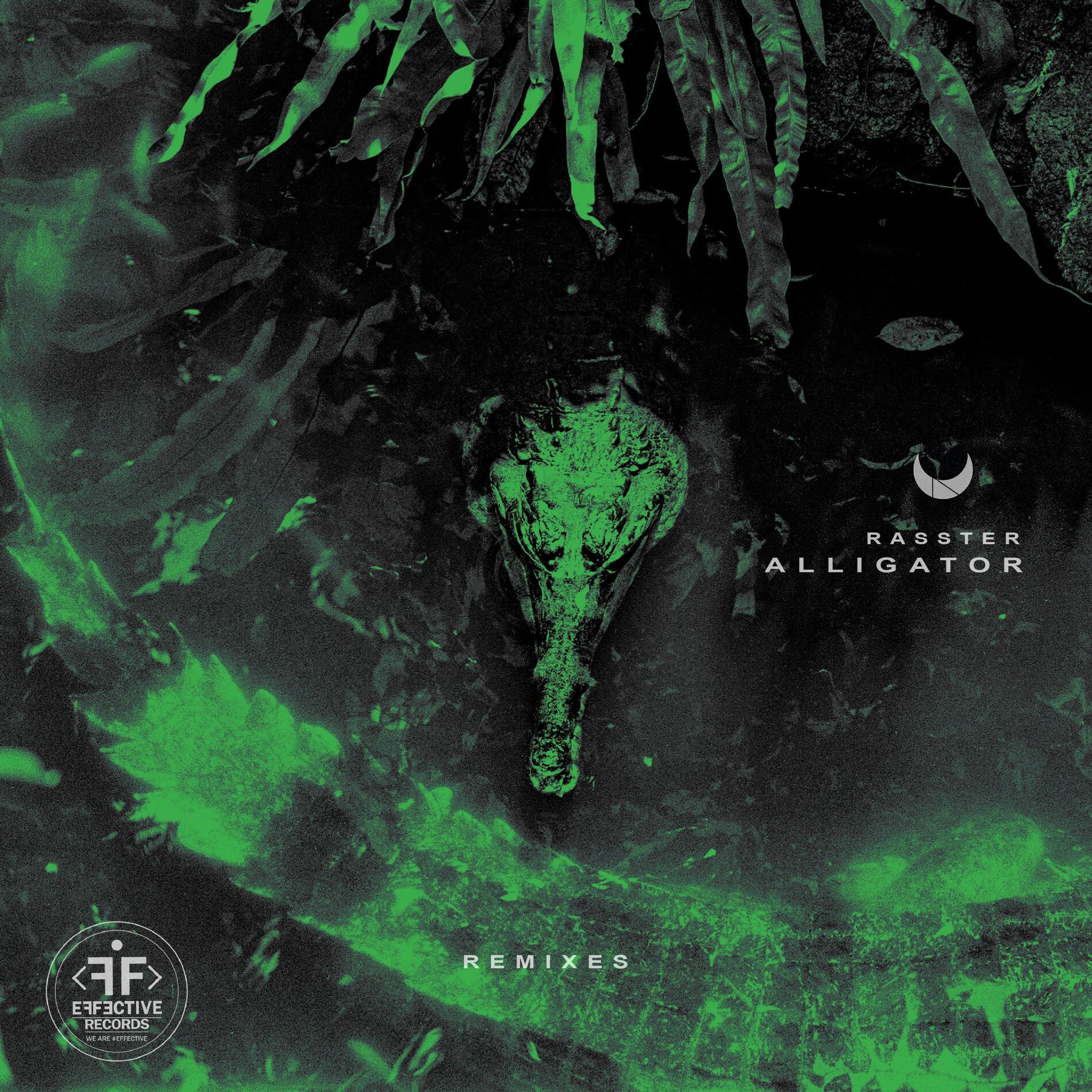 Album cover of Alligator Remixes
