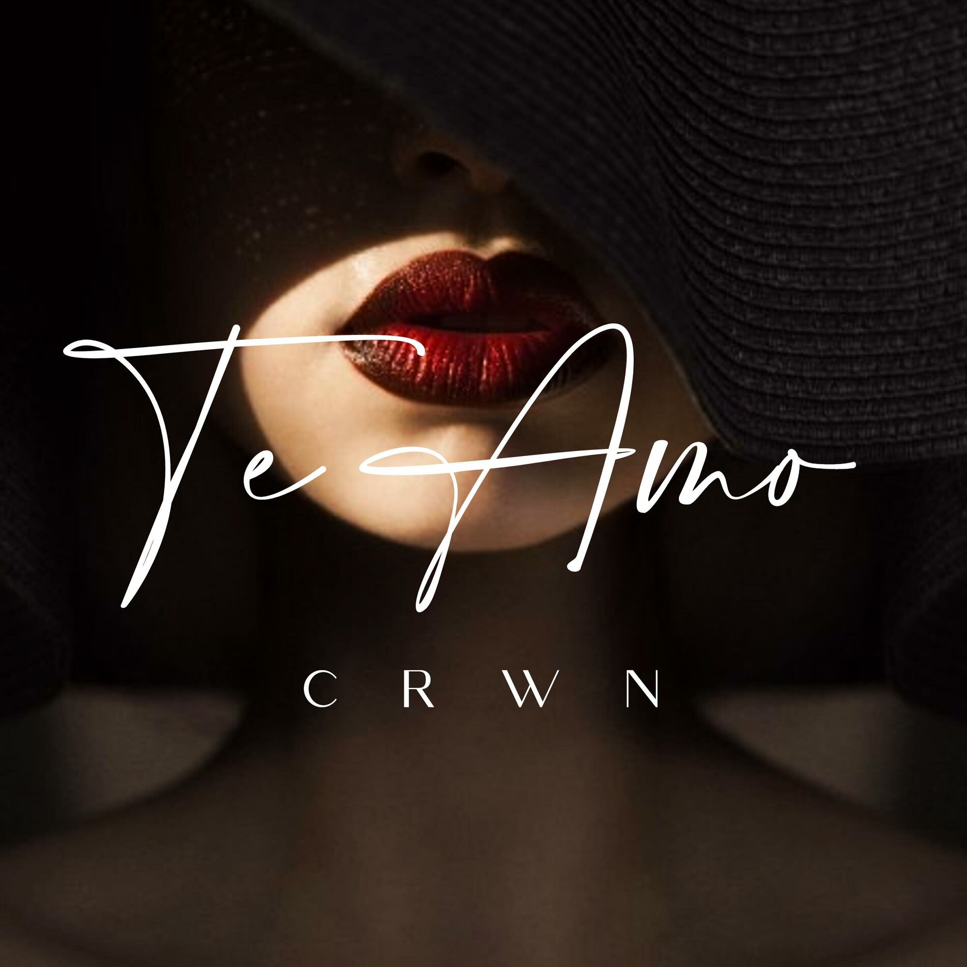 Album cover of Te Amo