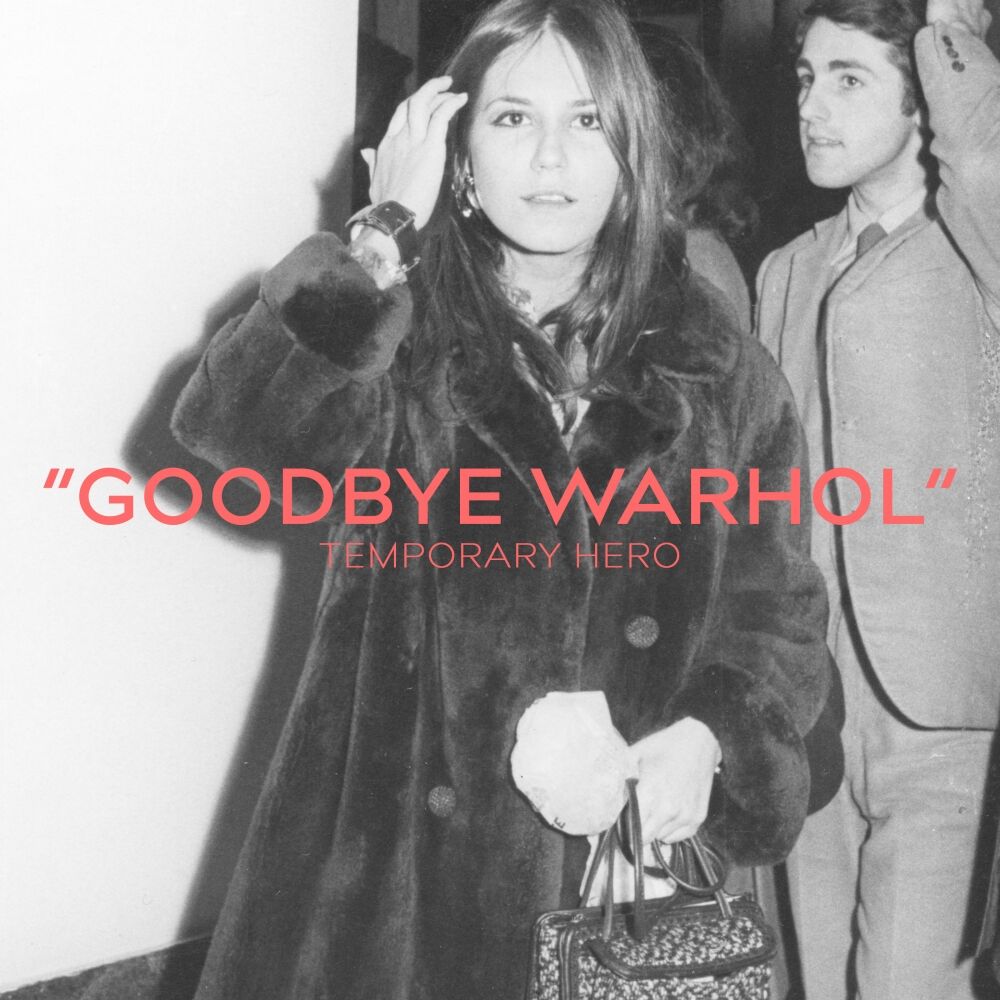 Picture of Goodbye Warhol