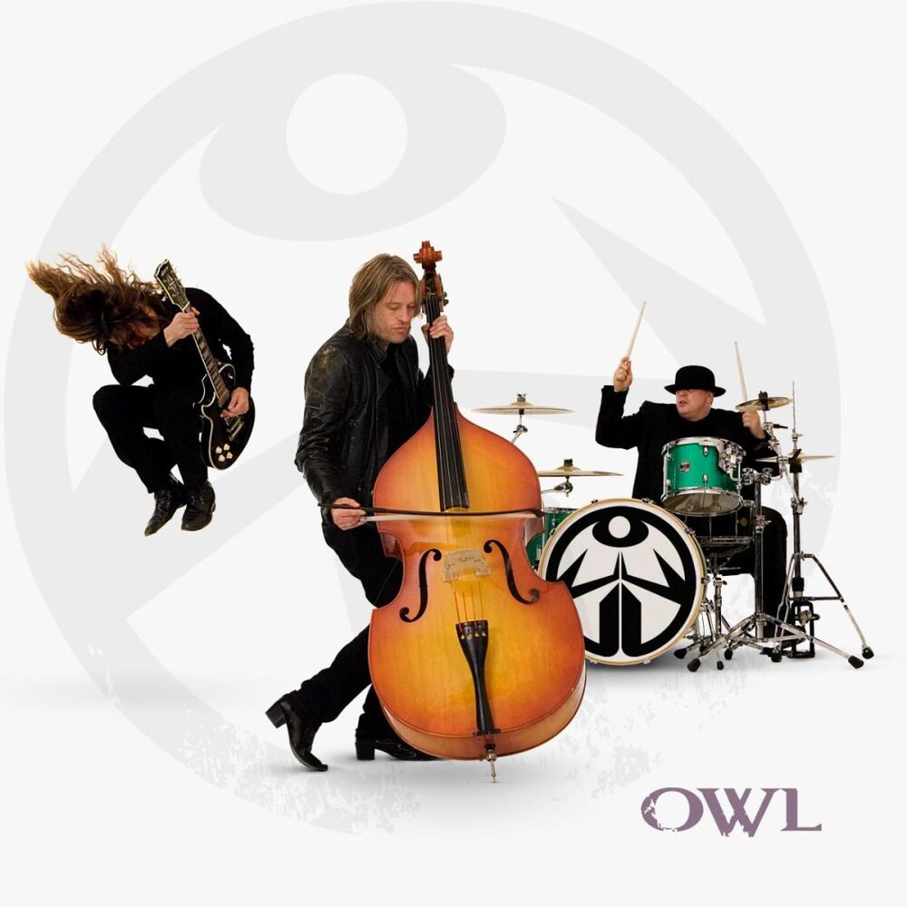 Picture of Owl
