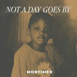 Cover of Not A Day Goes By