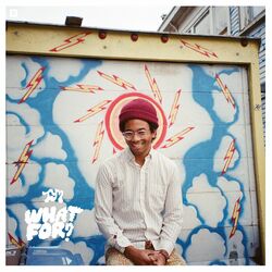 Cover of What For?