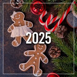 Cover of 2025