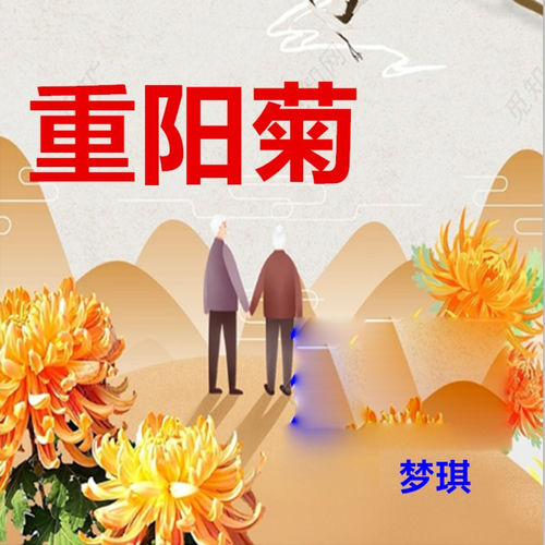 重阳菊