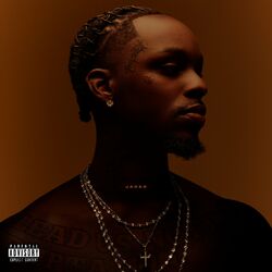 Cover of JADED
