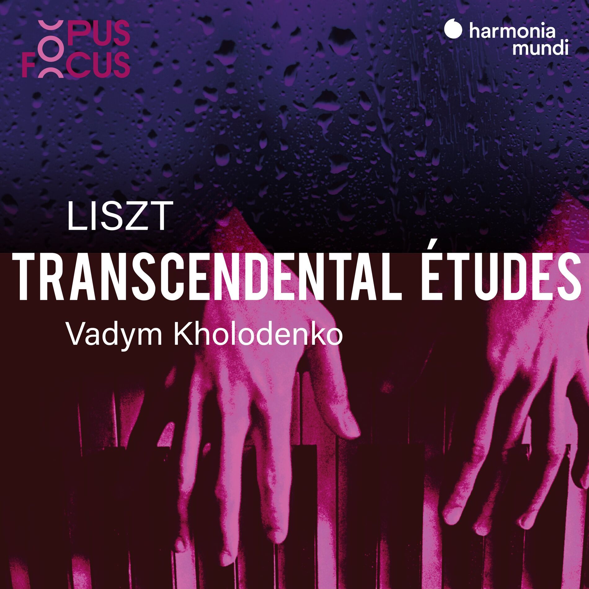 Album cover of Liszt: Transcendental Études