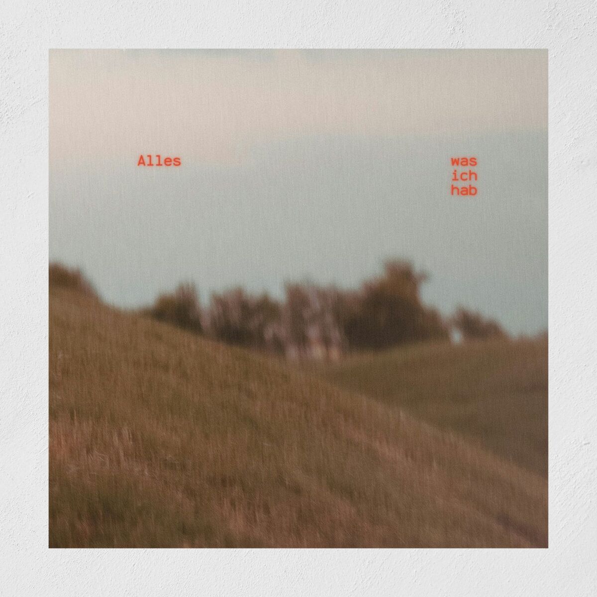 Album cover of Alles was ich hab