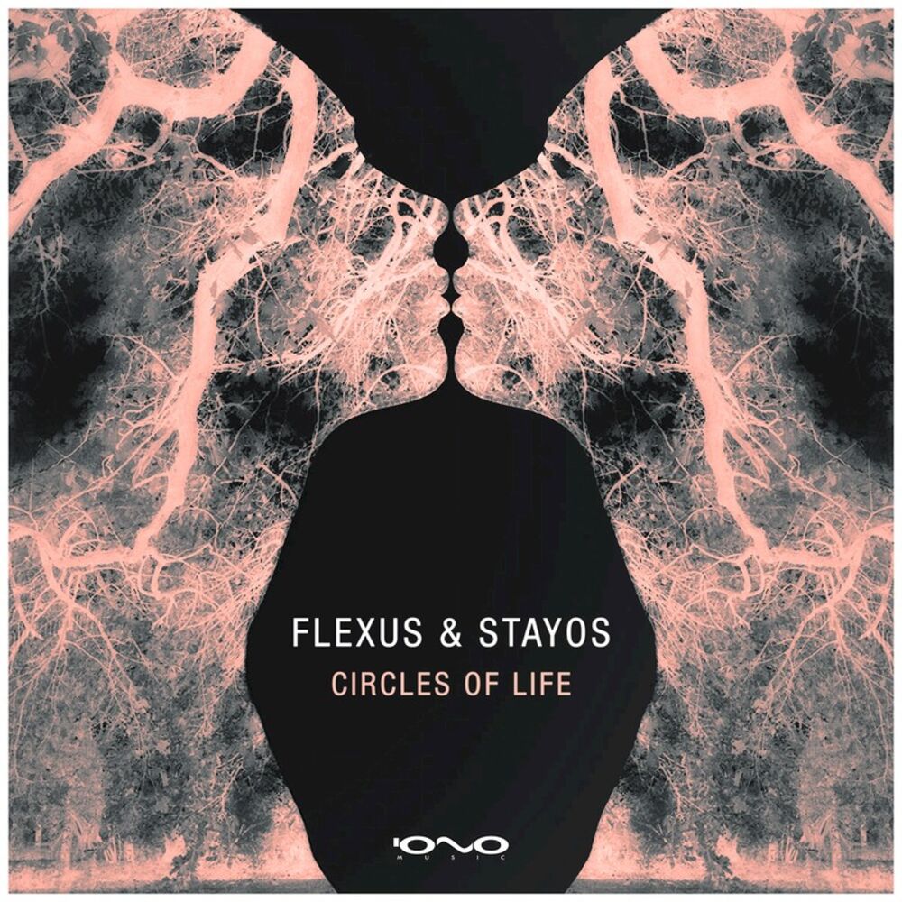 Picture of Circles of Life