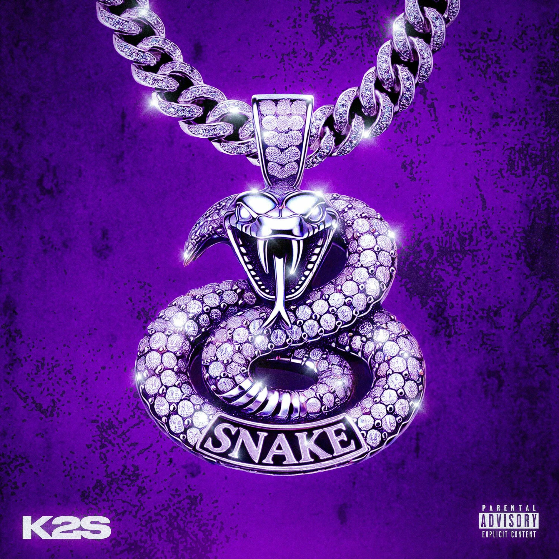 Album cover of Snake