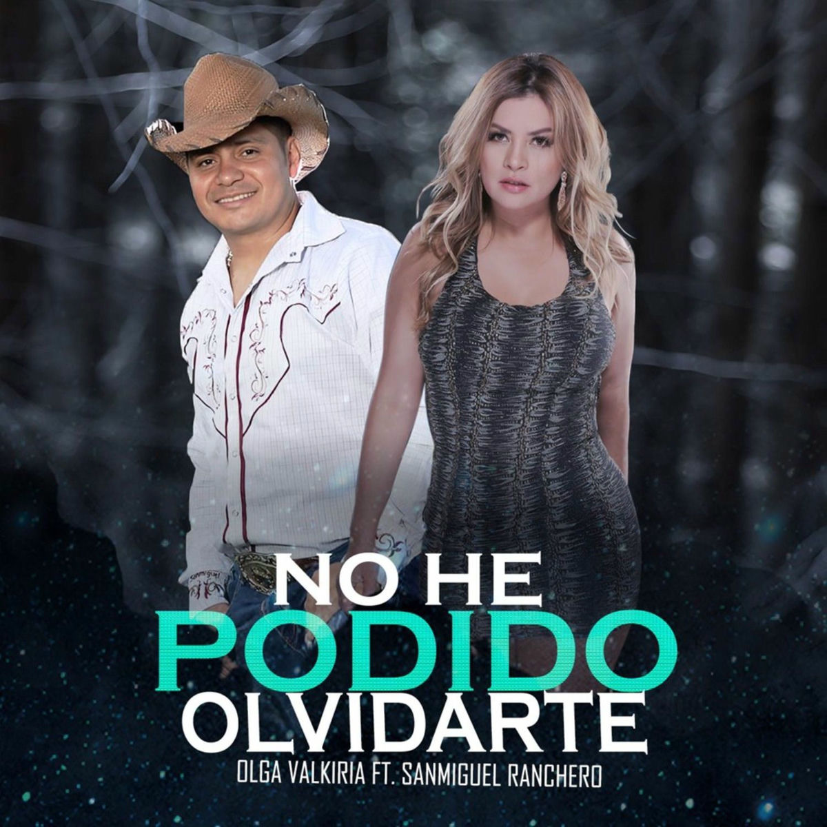 Album cover of No he podido olvidarte