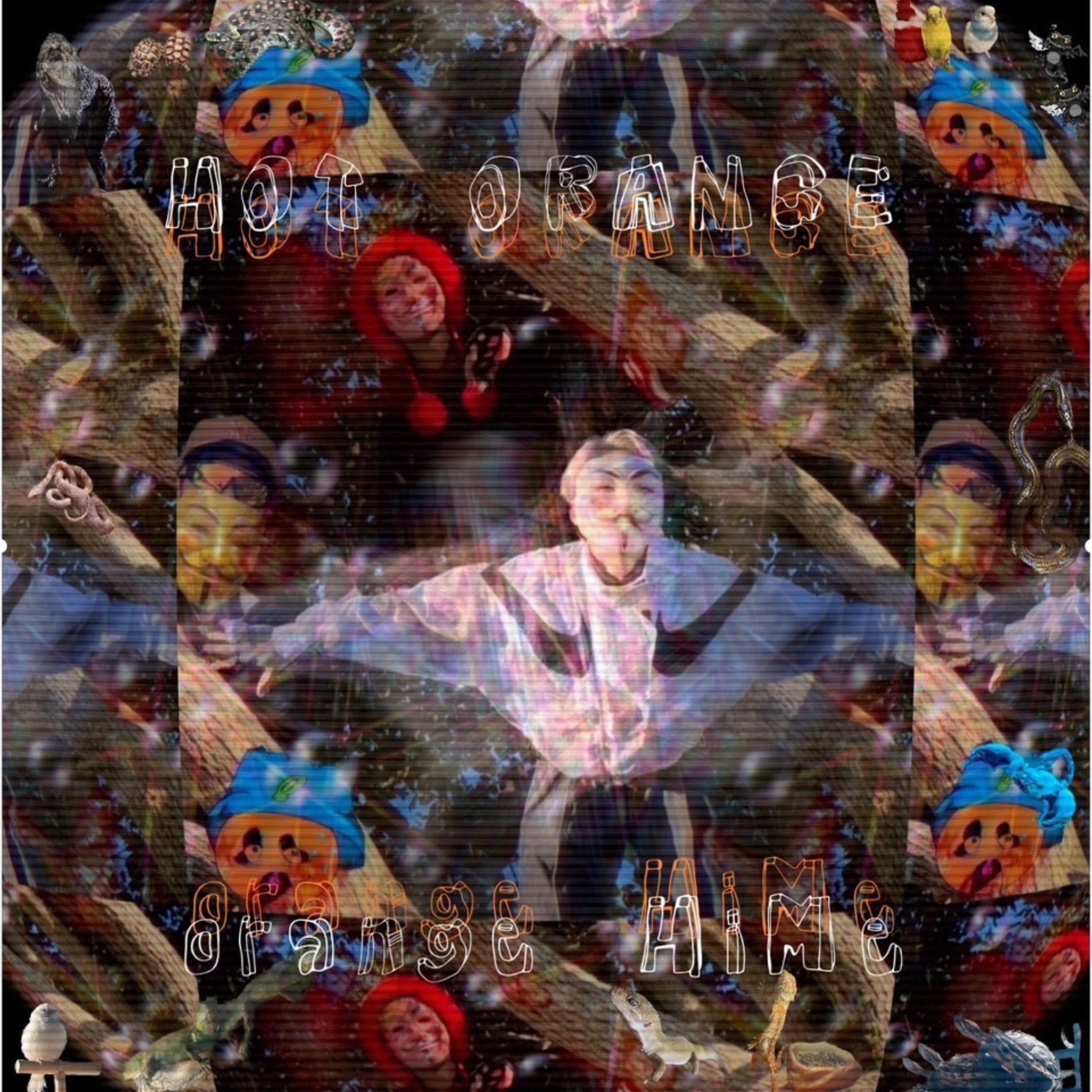 Album cover of Hot Orange