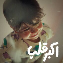 Cover of Akbar Alb