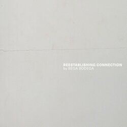 Cover of Reestablishing Connection [2020]