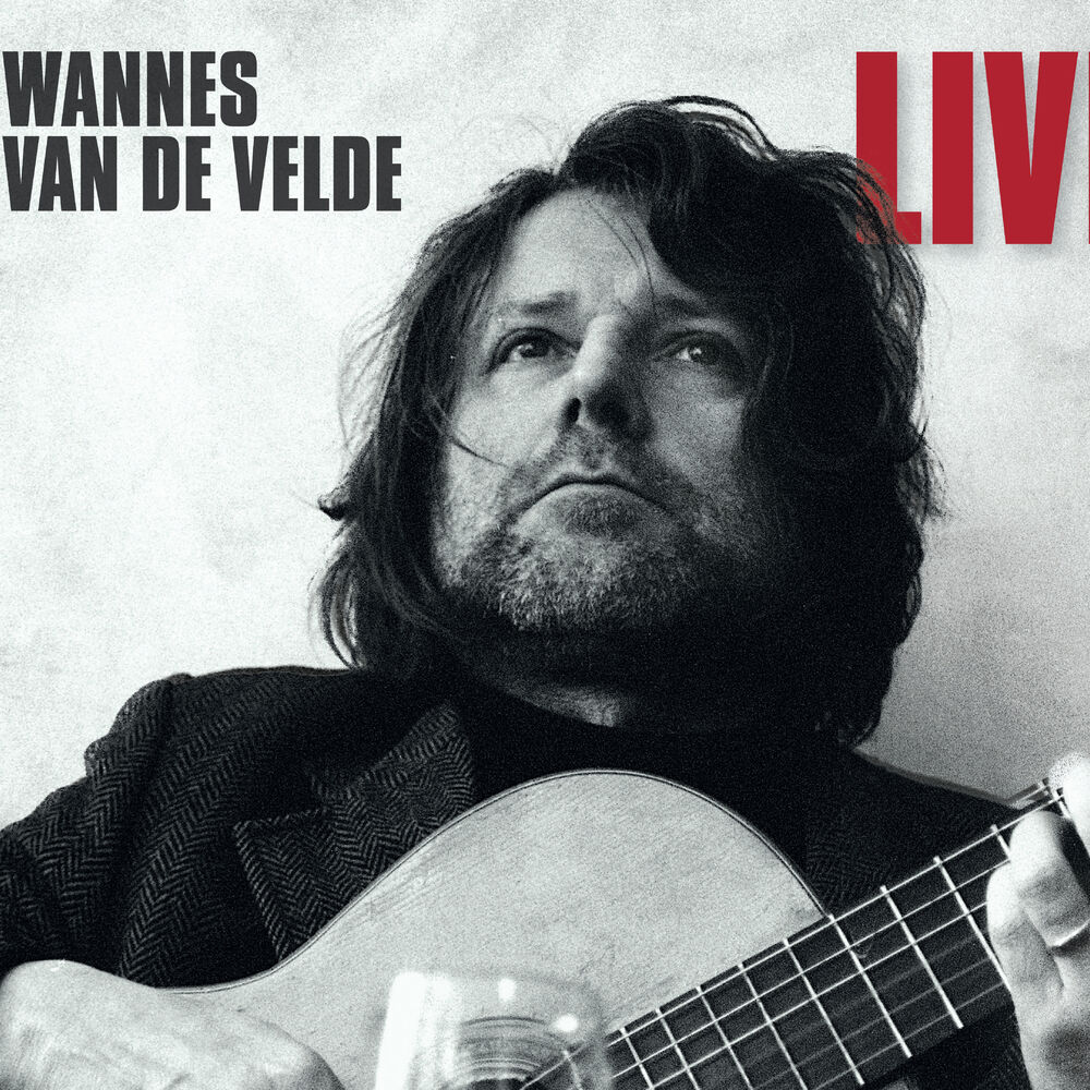 Picture of Wannes van de Velde Live