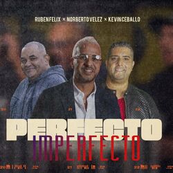 Cover of Perfecto Imperfecto