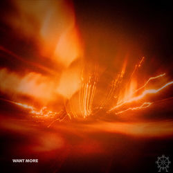 Cover of Want More by undefined