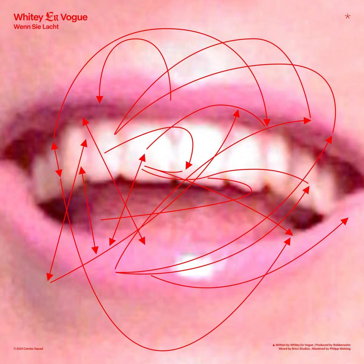 Album cover of Wenn sie lacht