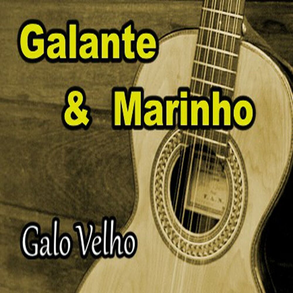 Picture of Galo Velho
